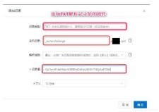 域名txt记录，怎么给域名设置TXT记录