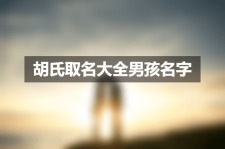 胡氏取名大全男孩名字