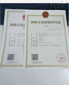 太原域名注册(太原办理文网文资质)