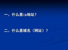 ip  域名(什么是ip地址和域名)