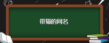 猫咪永久域名？猫咪永久区域网名是什么