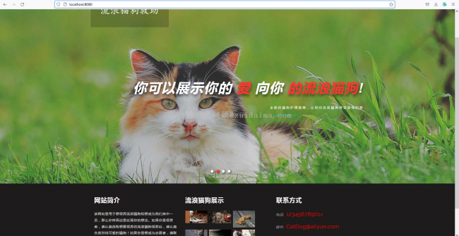 猫咪域名?猫咪最新域名是什么 猫咪域名?猫咪最新域名是什么