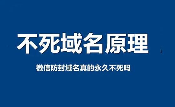 不死域名?微信二级不死域名什么原理域名死了怎么办 不死域名?微信二级不死域名什么原理域名死了怎么办