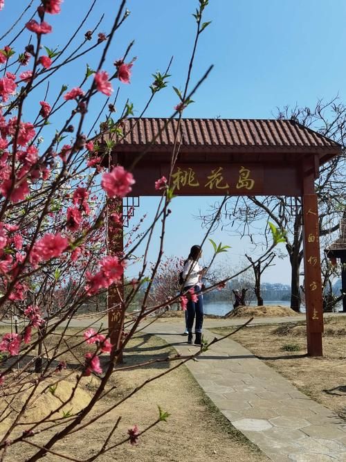 桃花论坛新域名(桃花岛论坛桃花岛论坛) 桃花论坛新域名(桃花岛论坛桃花岛论坛)