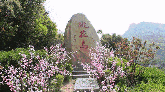桃花论坛新域名(桃花岛论坛桃花岛论坛) 桃花论坛新域名(桃花岛论坛桃花岛论坛)
