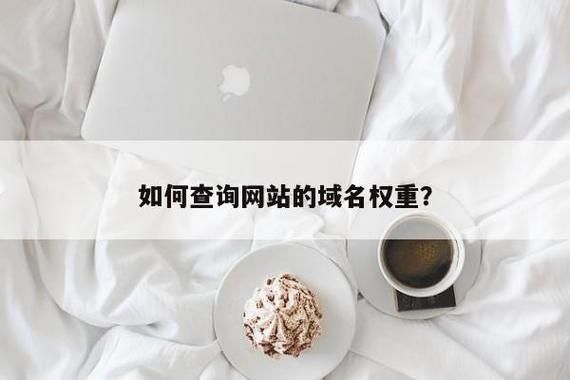 域名权重查询 怎么查这个网站的权重 域名权重查询 怎么查这个网站的权重