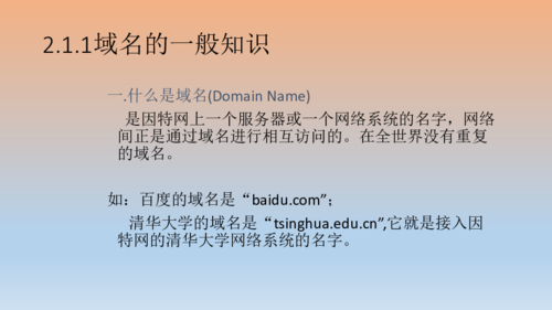 域名软件(现在哪一款域名解析软件比较好!) 域名软件(现在哪一款域名解析软件比较好!)