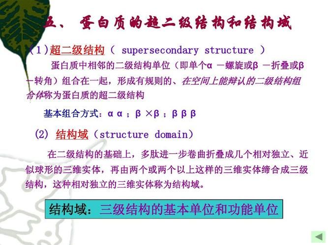 结构域名词解释,结构域名词解释是什么 结构域名词解释,结构域名词解释是什么