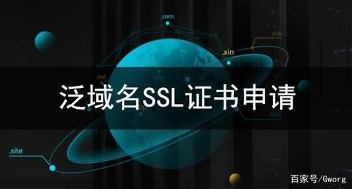 泛域名证书,什么叫泛域名证书申请这类证书要多少钱 泛域名证书,什么叫泛域名证书申请这类证书要多少钱