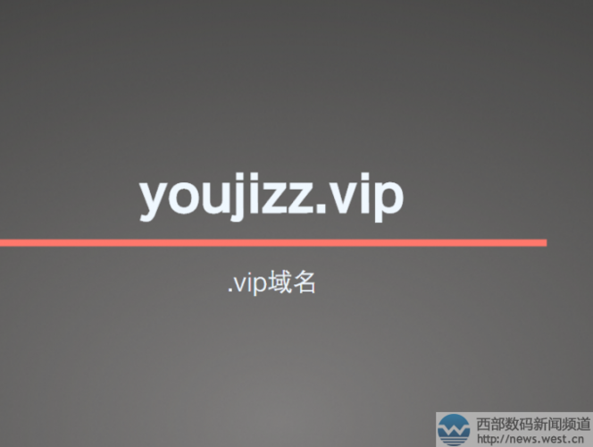 vip域名有价值吗?大家觉得.vip域名怎么样 vip域名有价值吗?大家觉得.vip域名怎么样