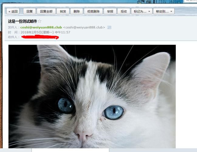 猫咪网最新域名?猫咪最新域名是什么 猫咪网最新域名?猫咪最新域名是什么