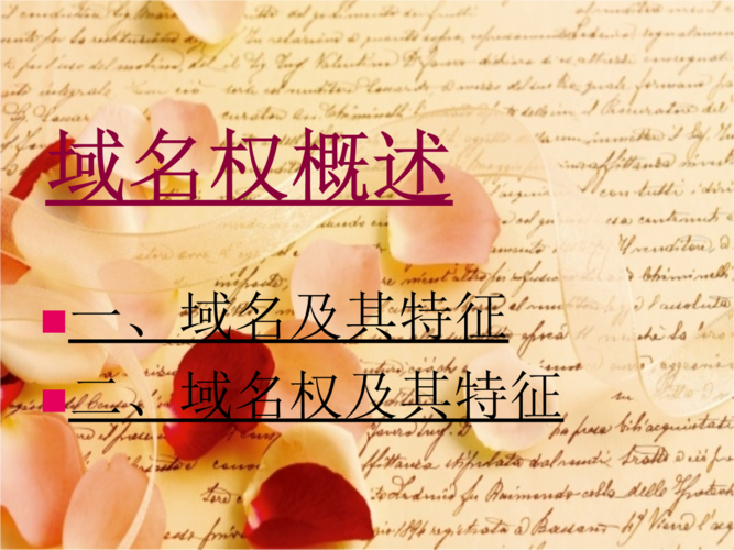 域名权 域名权的特征 域名权 域名权的特征