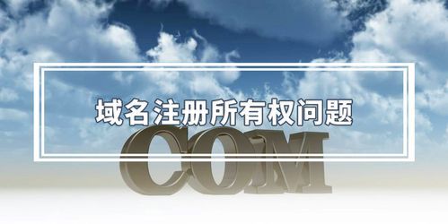 域名持有者?注册的域名所有权归谁 域名持有者?注册的域名所有权归谁