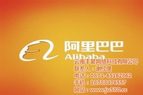 阿里巴巴域名 阿里巴巴域名是什么