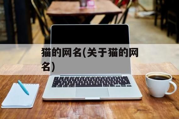 猫咪永久域名?猫咪永久区域网名是什么 猫咪永久域名?猫咪永久区域网名是什么