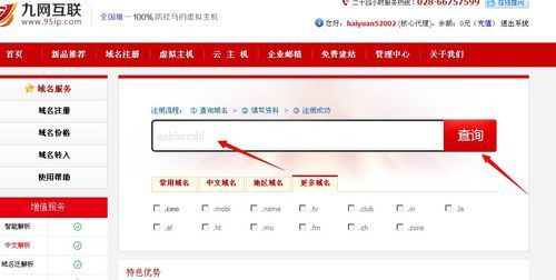 如何查域名(怎么知道自己的域名) 如何查域名(怎么知道自己的域名)