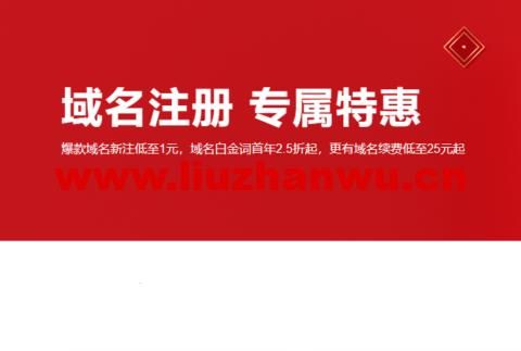 白金域名,什么是白金词域名 白金域名,什么是白金词域名