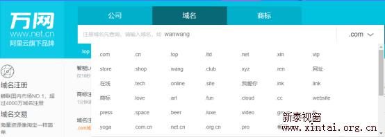 新闻提要域域名的英文,域名解析系统英文名 新闻提要域域名的英文,域名解析系统英文名