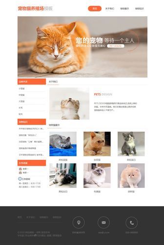 猫咪新域名 猫咪最新域名是什么 猫咪新域名 猫咪最新域名是什么