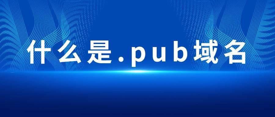 pub域名?pub域名是什么域名 pub域名?pub域名是什么域名