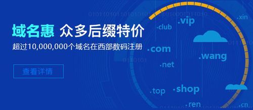 国际域名抢注 国际域名注册费用 国际域名抢注 国际域名注册费用
